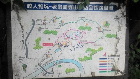 三丁山|咬人狗坑登山步道(三汀山)